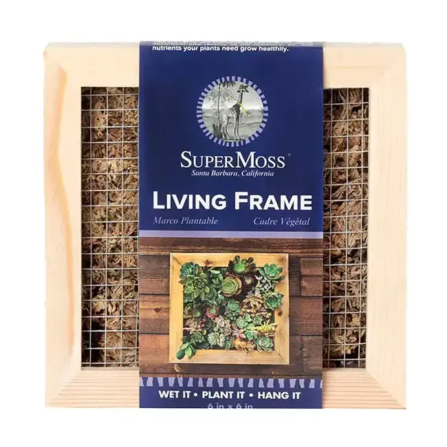 Sphagnum Moss Living Frame