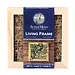 Sphagnum Moss Living Frame