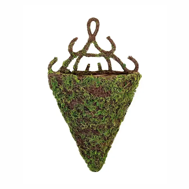 13" Madrid Moss & Wicker Wall Sconce
