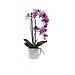 20" Artificial Pink Orchid