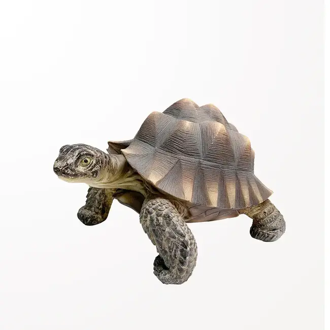 Small Turtle Statue