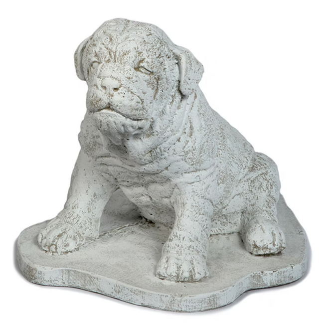 Concrete Pug Dog