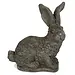 Standing Bunny Ears