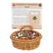 Enchanted Mushroom Charm