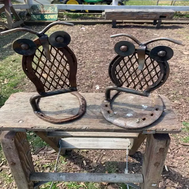 Horseshoe Owl