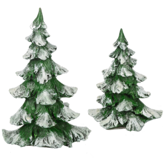 Snowy Pine Tree