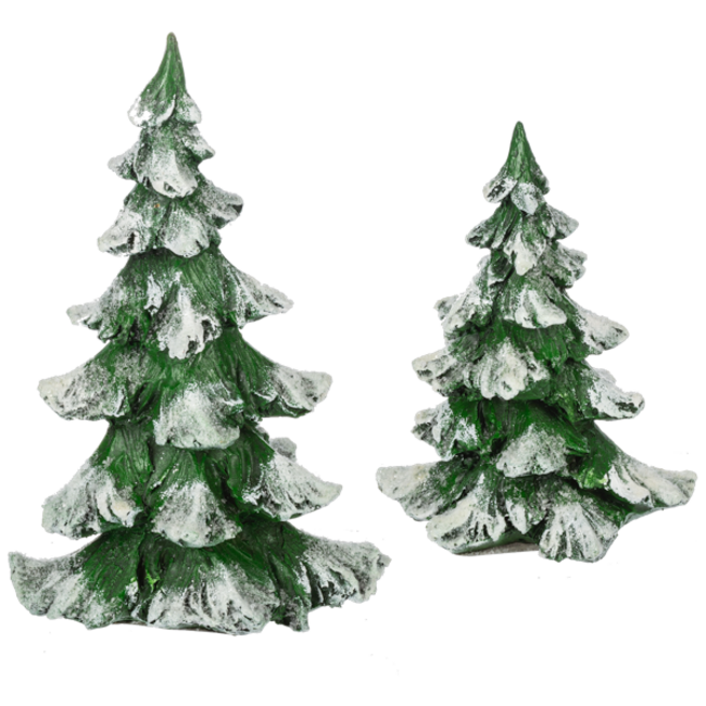 Snowy Pine Tree