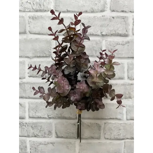 13" Burgundy Eucalyptus Bundle
