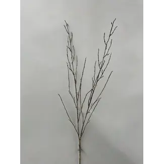 42" Twig Branch