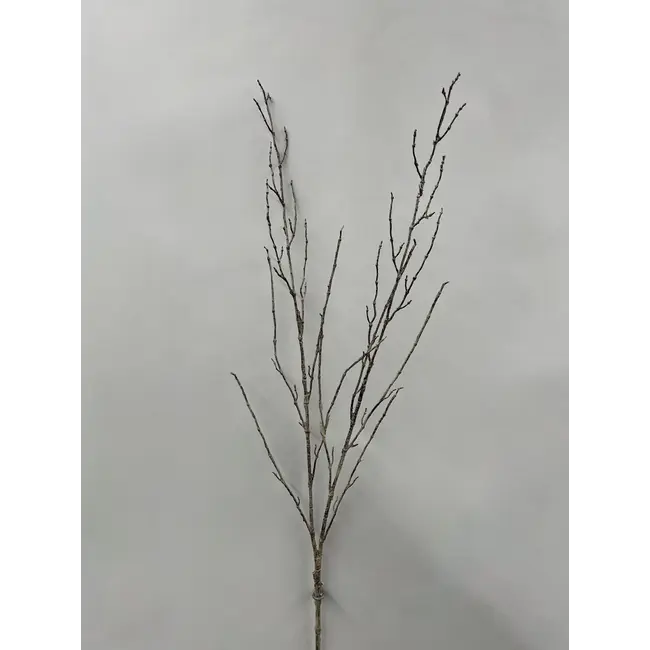 42" Twig Branch