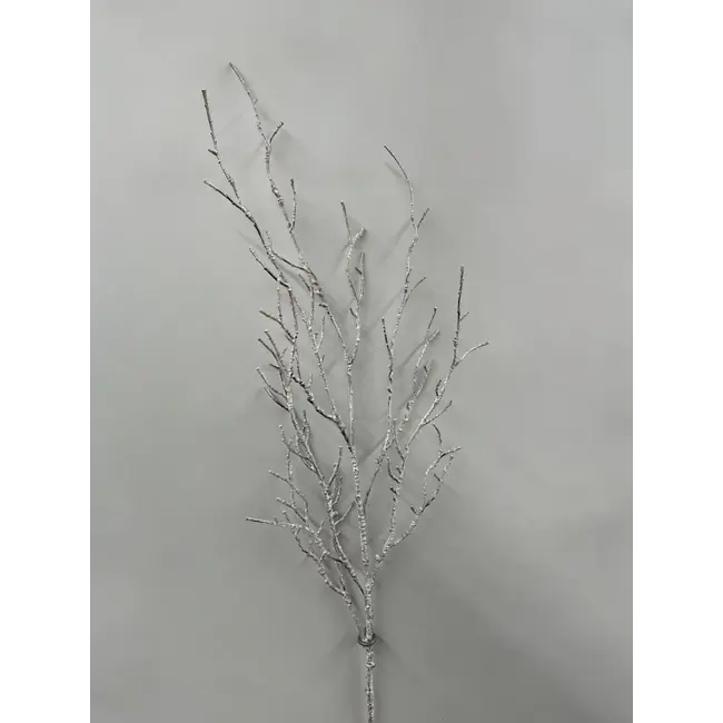 40" White Birch Twig Branch