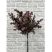 26" Burgundy Eucalyptus Bundle