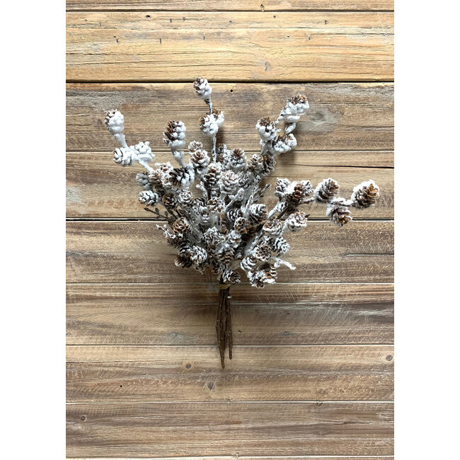 15" Snowed Cone Spray