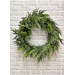 23" Fresh Touch Northern White Cedar Wreath