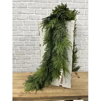6' Northern White Cedar Garland