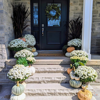 Fall Door Package