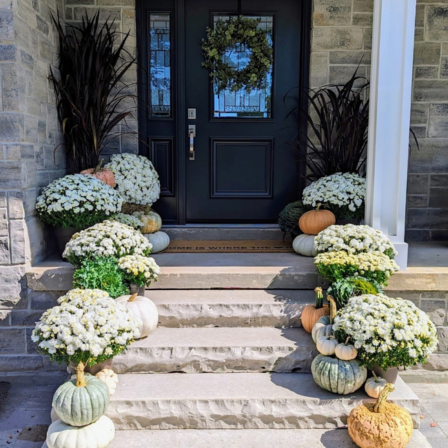 Fall Door Package