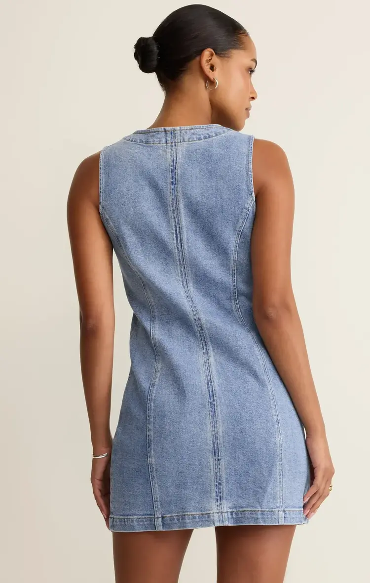 Jolie Denim Seamed Mini Dress