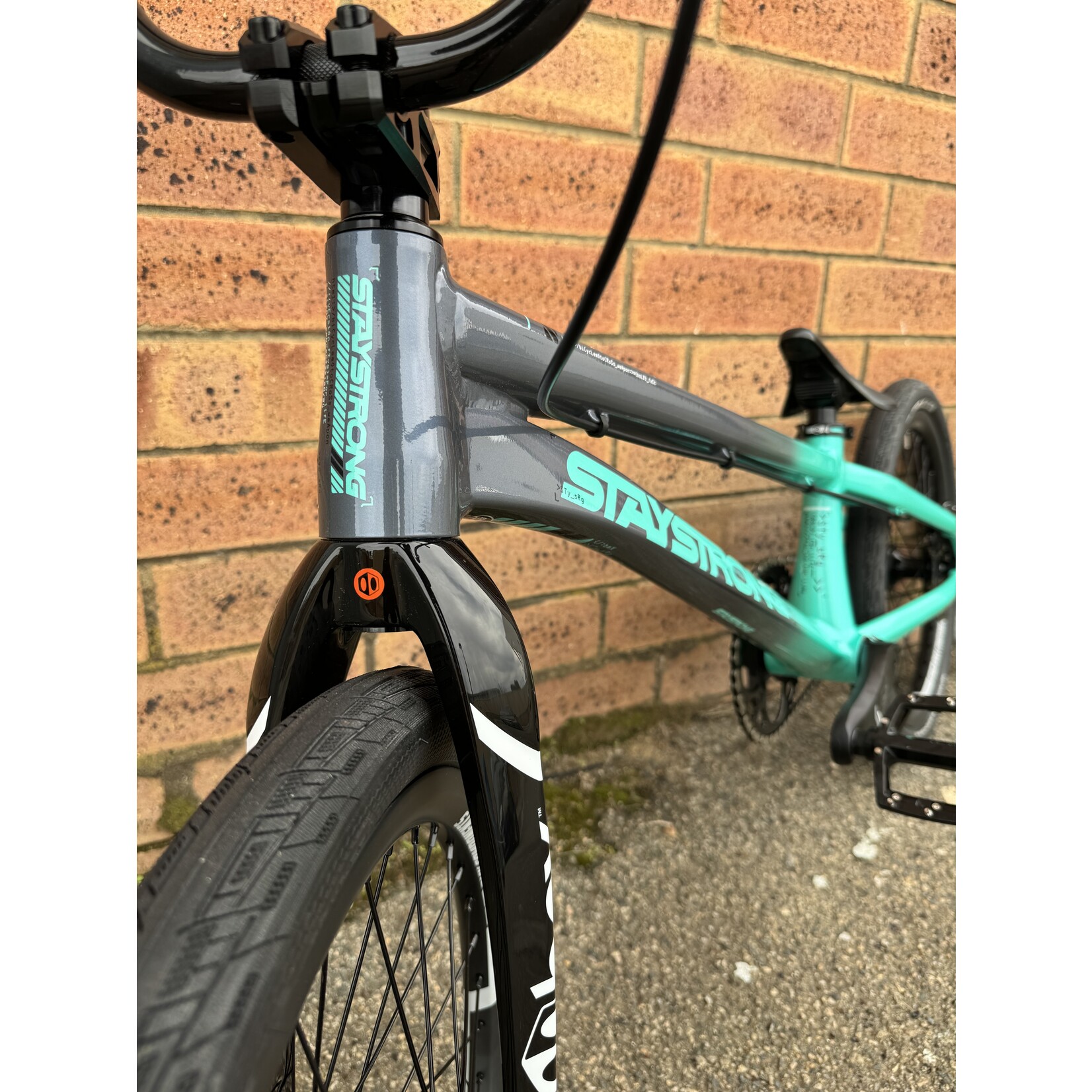 Staystrong V5 Custom Teal Pro XXL
