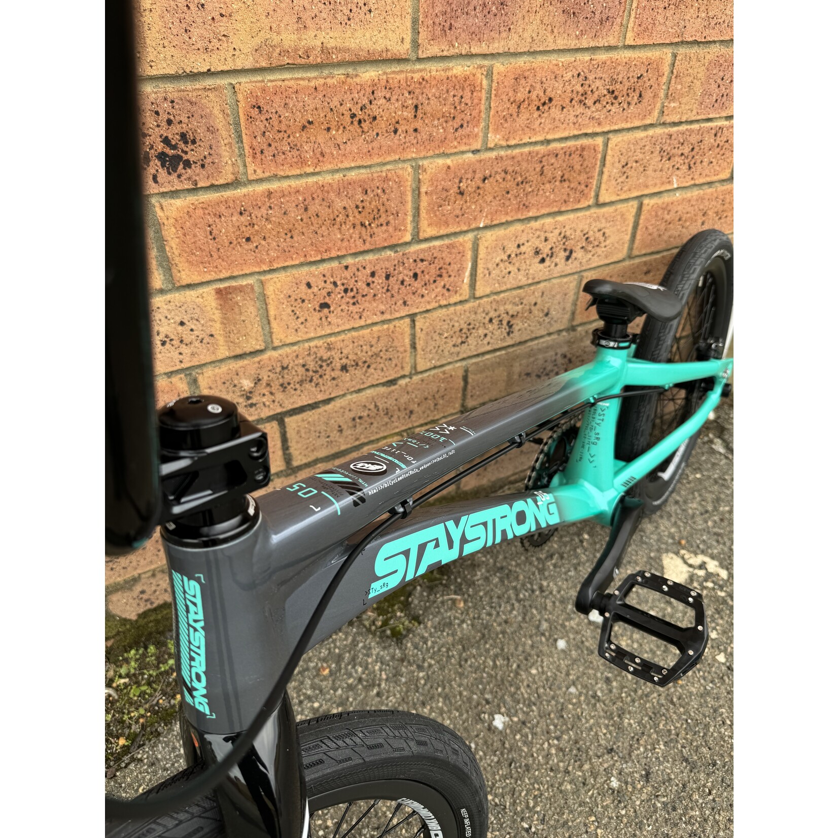 Staystrong V5 Custom Teal Pro XXL