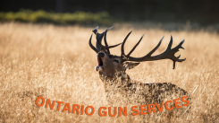Ontario Gun Services