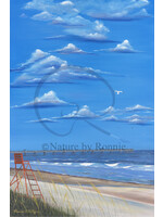 Ronnie Phillips Ronnie Phillips "Jax Beach Pier"