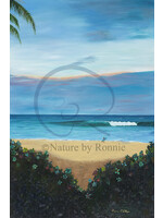Ronnie Phillips Ronnie Phillips "North Shore Pipeline"