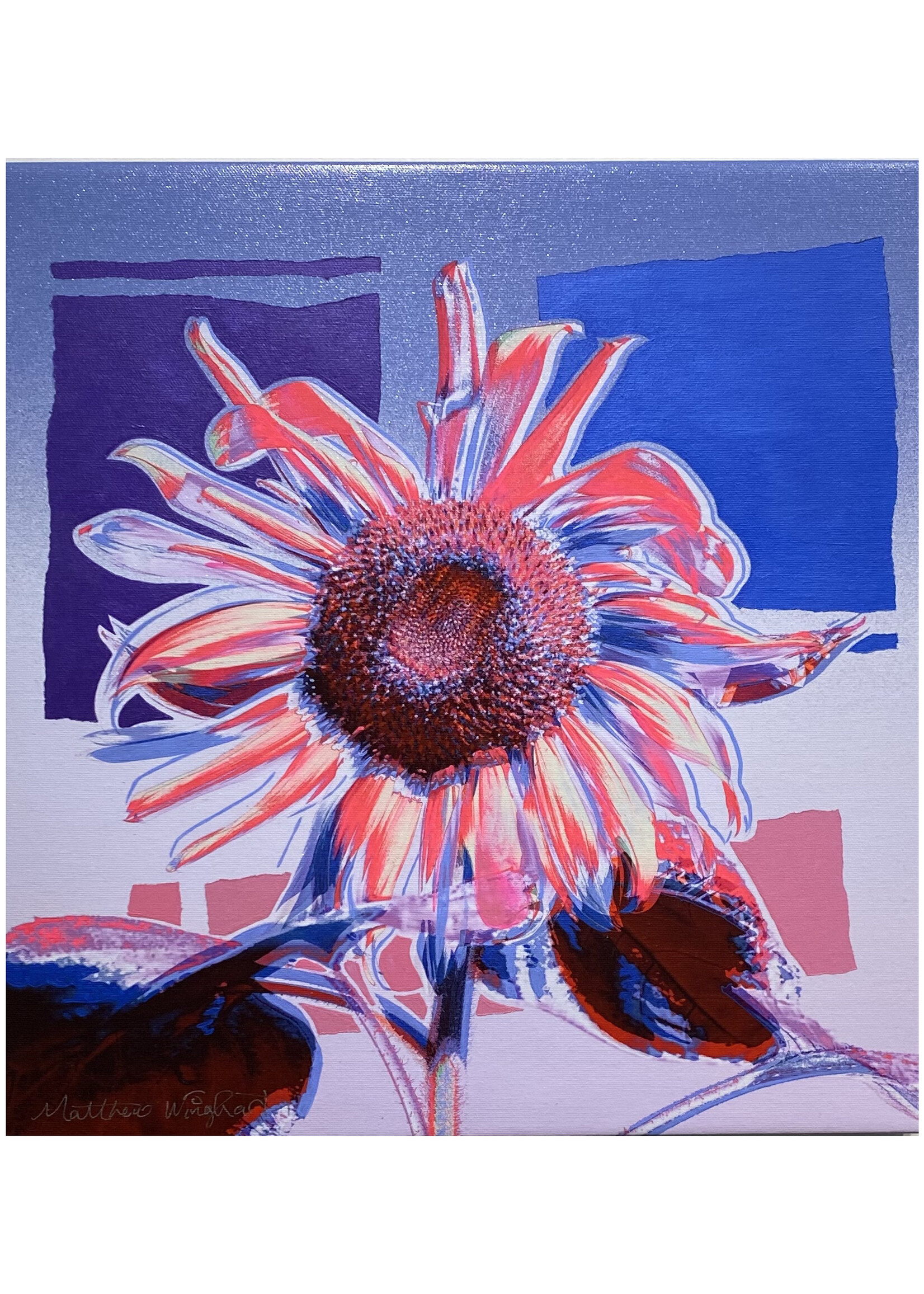 Matthew Winghart Matthew Winghart "Sunflower on Gradient"