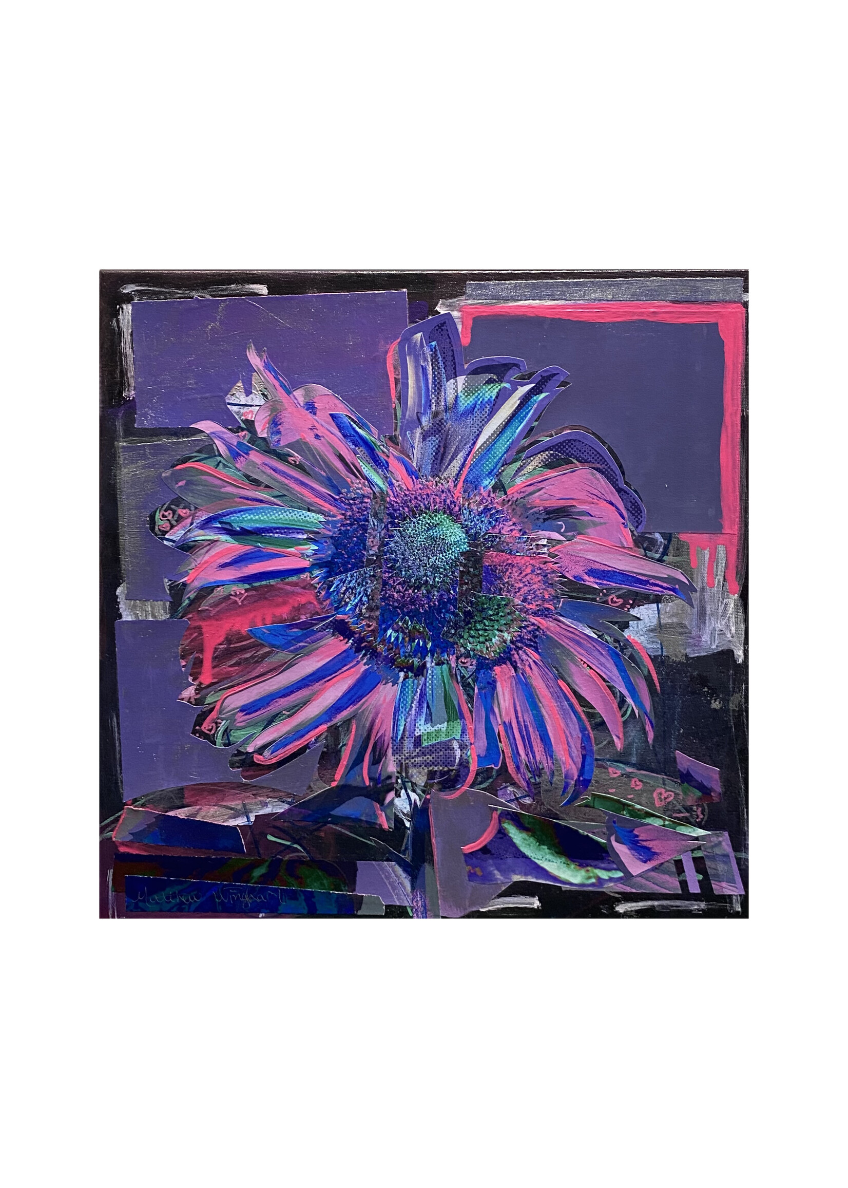 Matthew Winghart Matthew Winghart "Sunflower with Torn Paper"