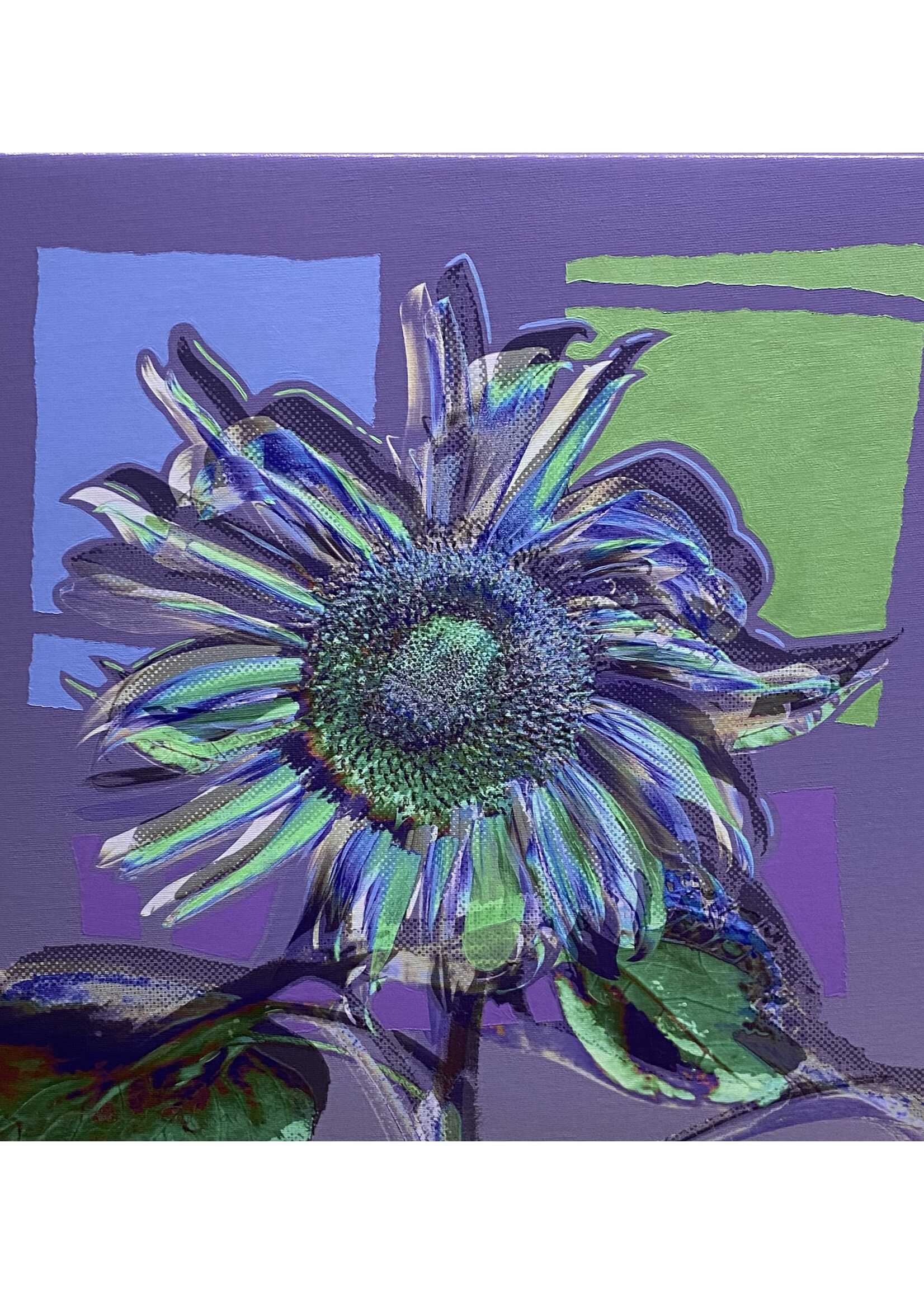 Matthew Winghart Matthew Winghart "Sunflower on Purple"