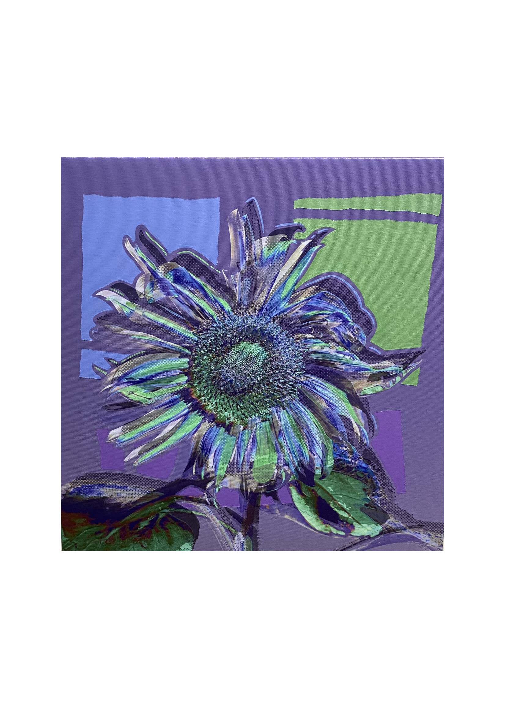 Matthew Winghart Matthew Winghart "Sunflower on Purple"