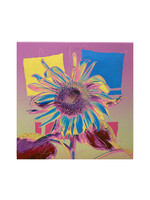 Matthew Winghart Matthew Winghart "Sunflower on Pink"