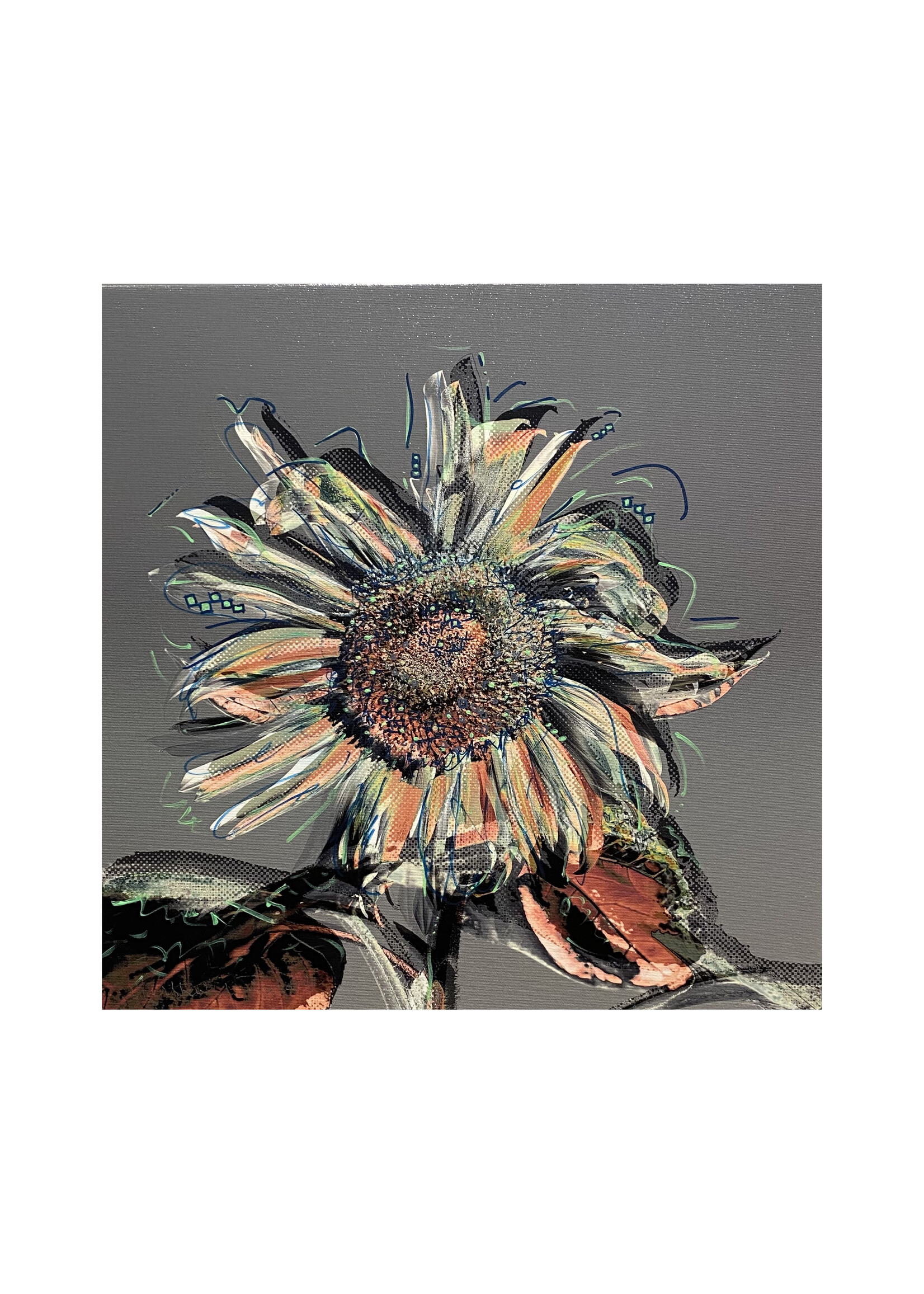Matthew Winghart Matthew Winghart "Sunflower on Grey"