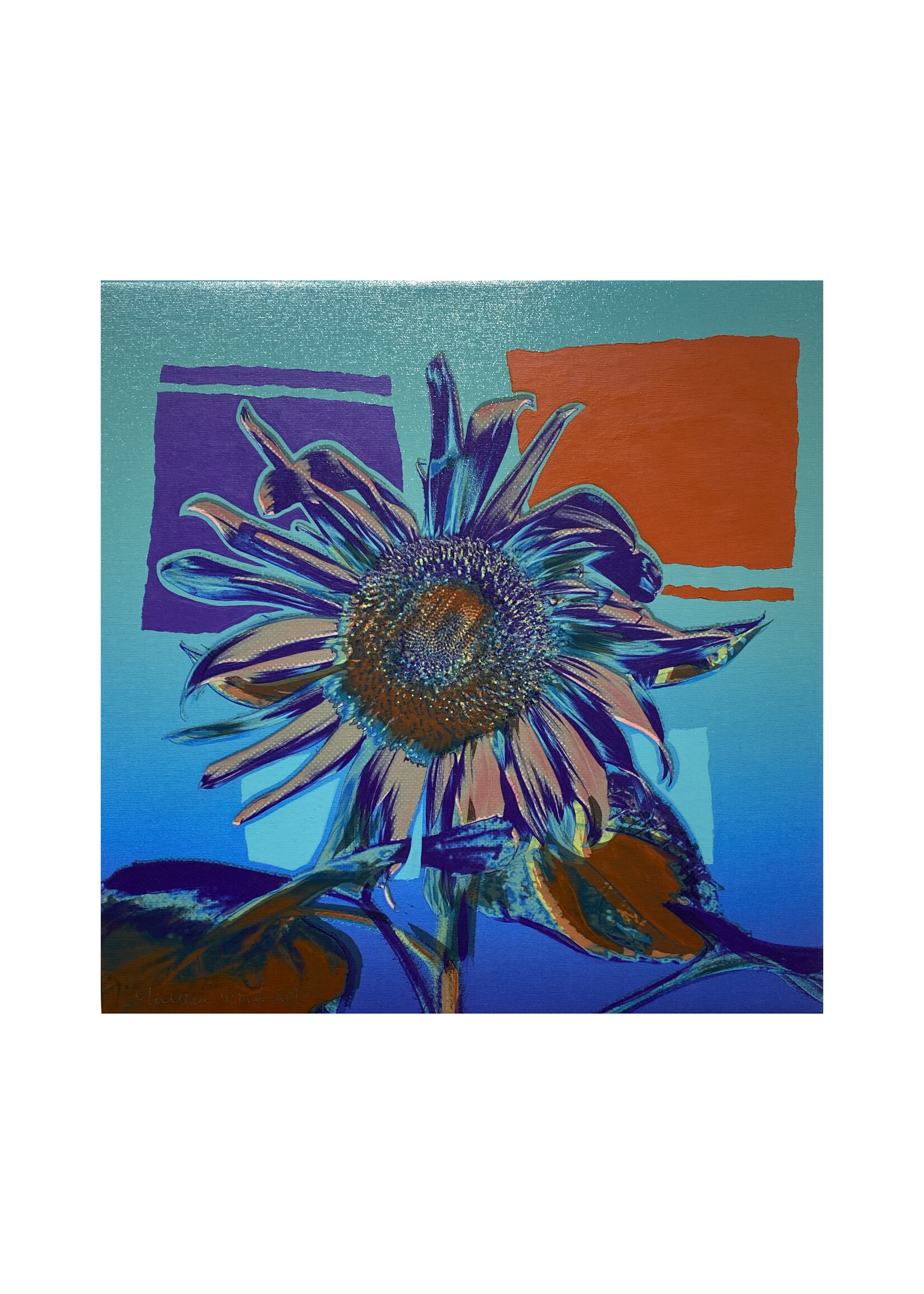 Matthew Winghart Matthew Winghart "Sunflower on Turquoise"