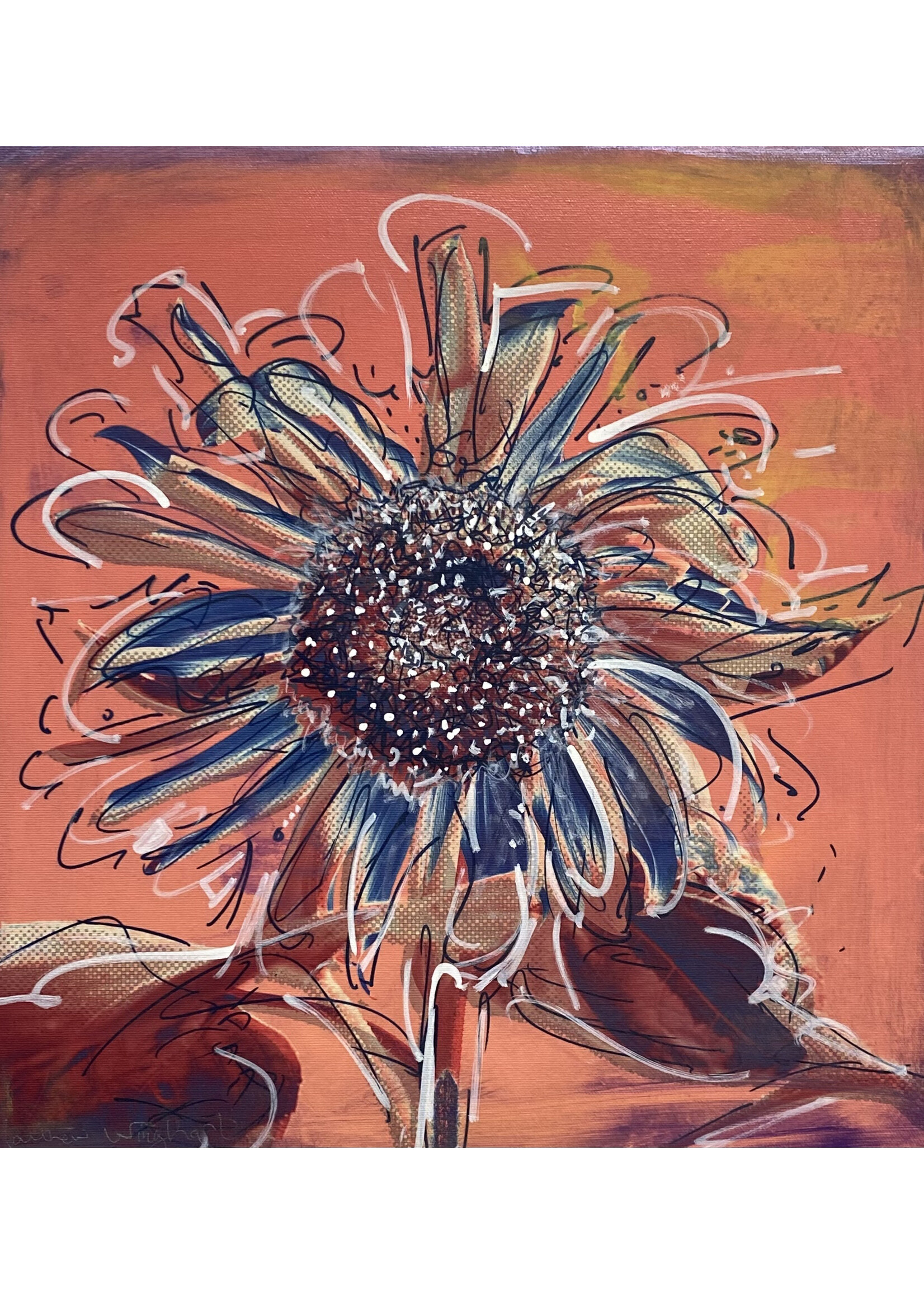Matthew Winghart Matthew Winghart "Sunflower on Pink"