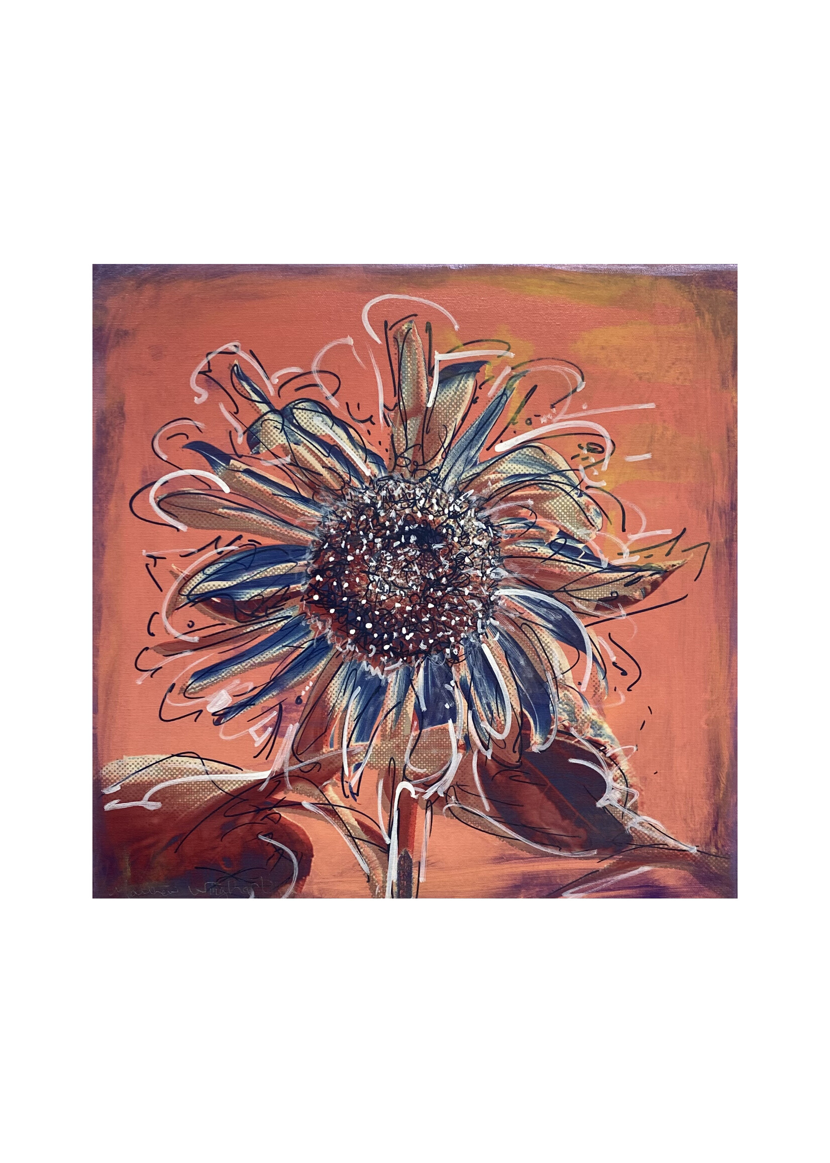 Matthew Winghart Matthew Winghart "Sunflower on Pink"