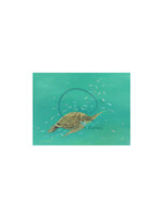 Ronnie Phillips Ronnie Phillips "Swimming in Barbados"