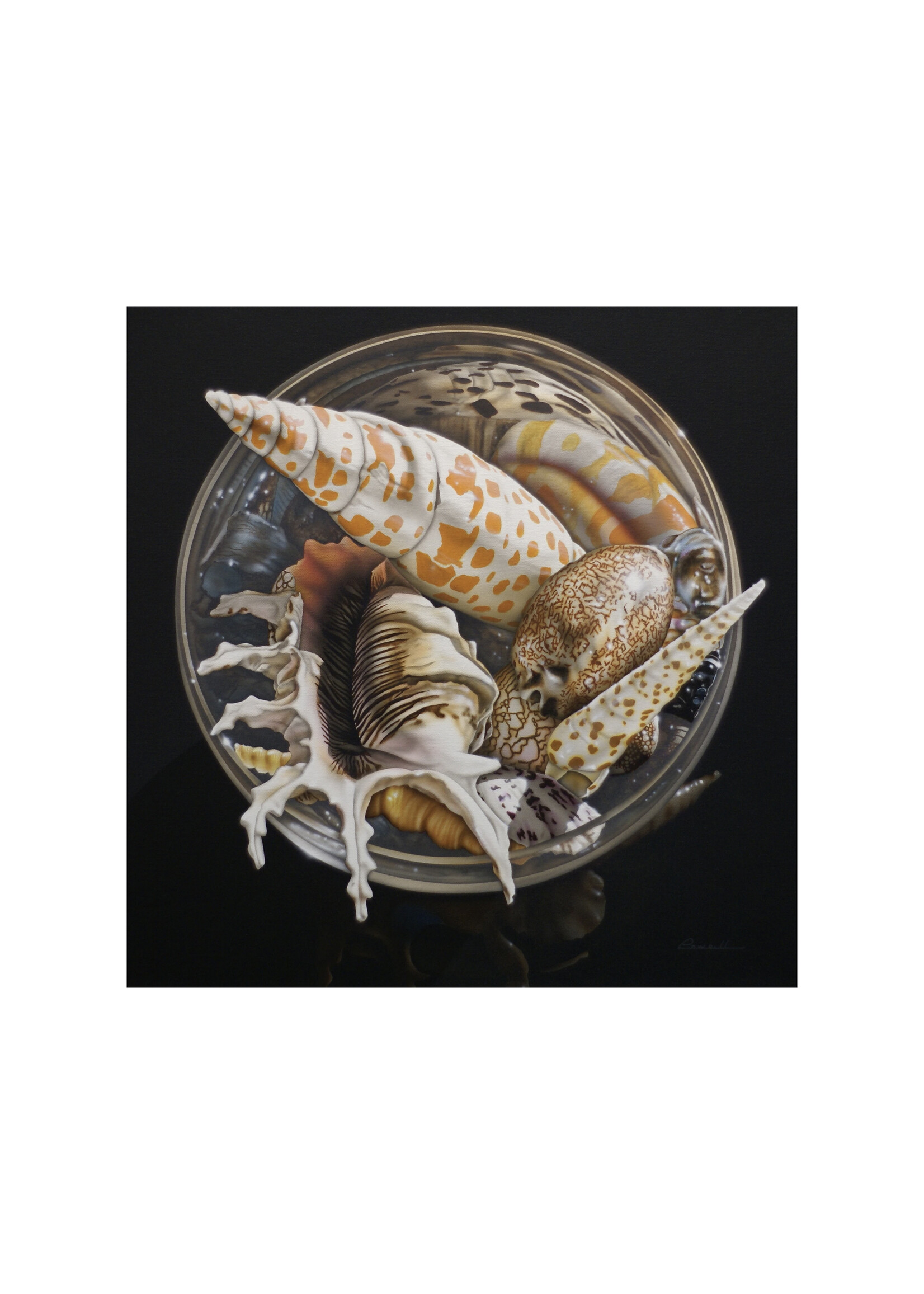 Peter & Madeline Powell Peter & Madeline Powell "Reflections from the Sea"