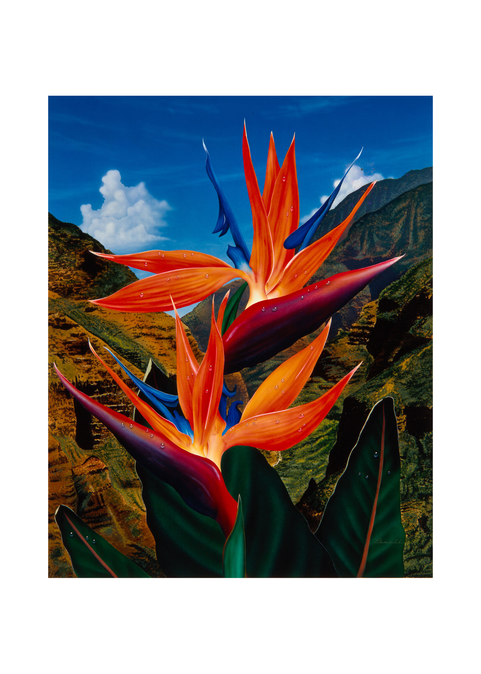 Peter & Madeline Powell Peter & Madeline Powell "Paradise Waimea"