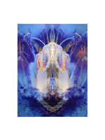 Chad Smith Chad Smith "Mirror in Blue"