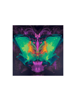 Chad Smith Chad Smith "Satan's Butterfly"