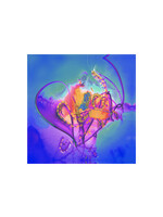 Chad Smith Chad Smith "Ghost Love"