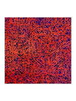 Star Mortezavi Behind the Red
