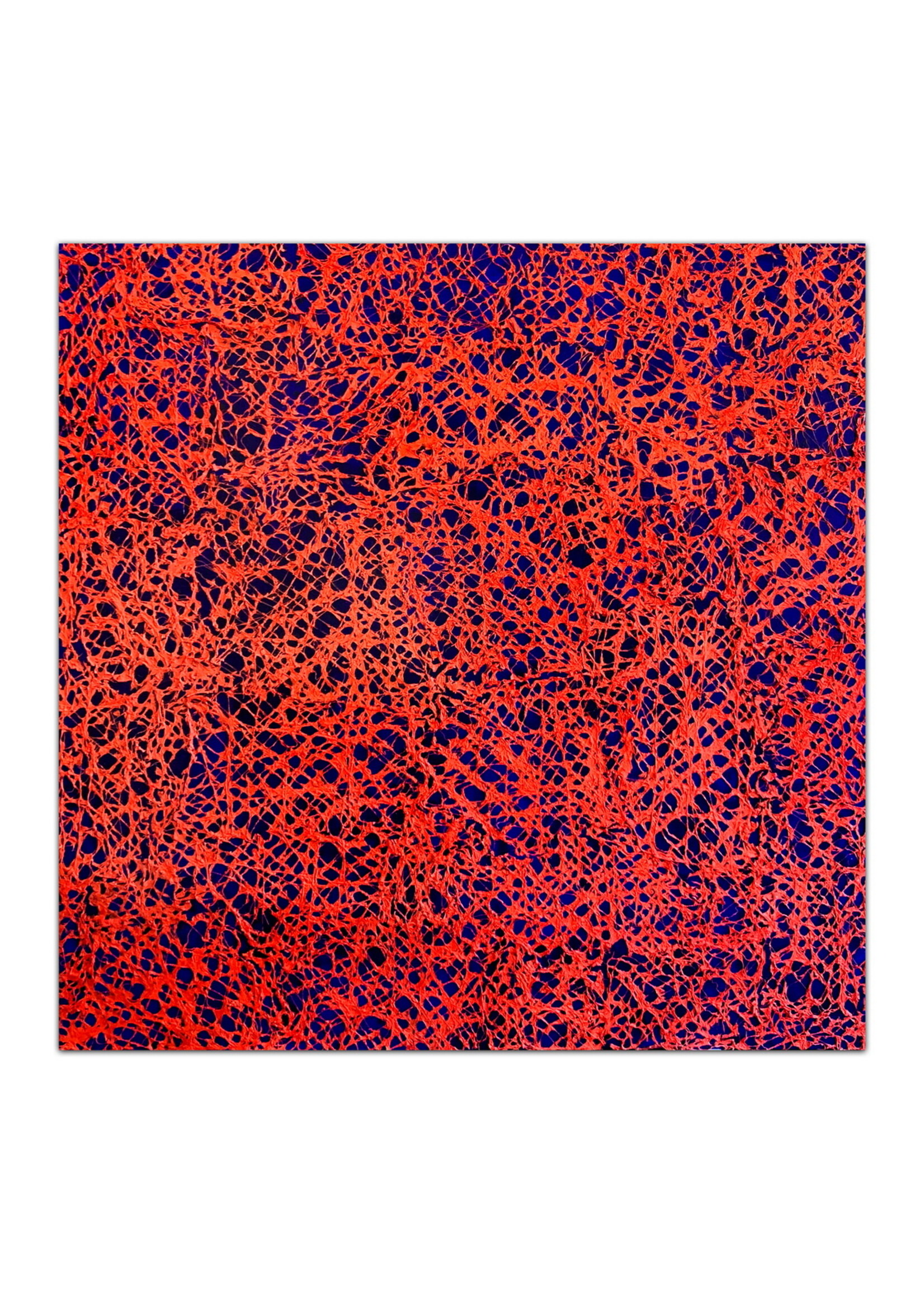 Star Mortezavi Behind the Red