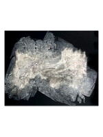 Star Mortezavi Shadows Of Memory