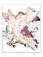 Star Mortezavi Wings Of Spring