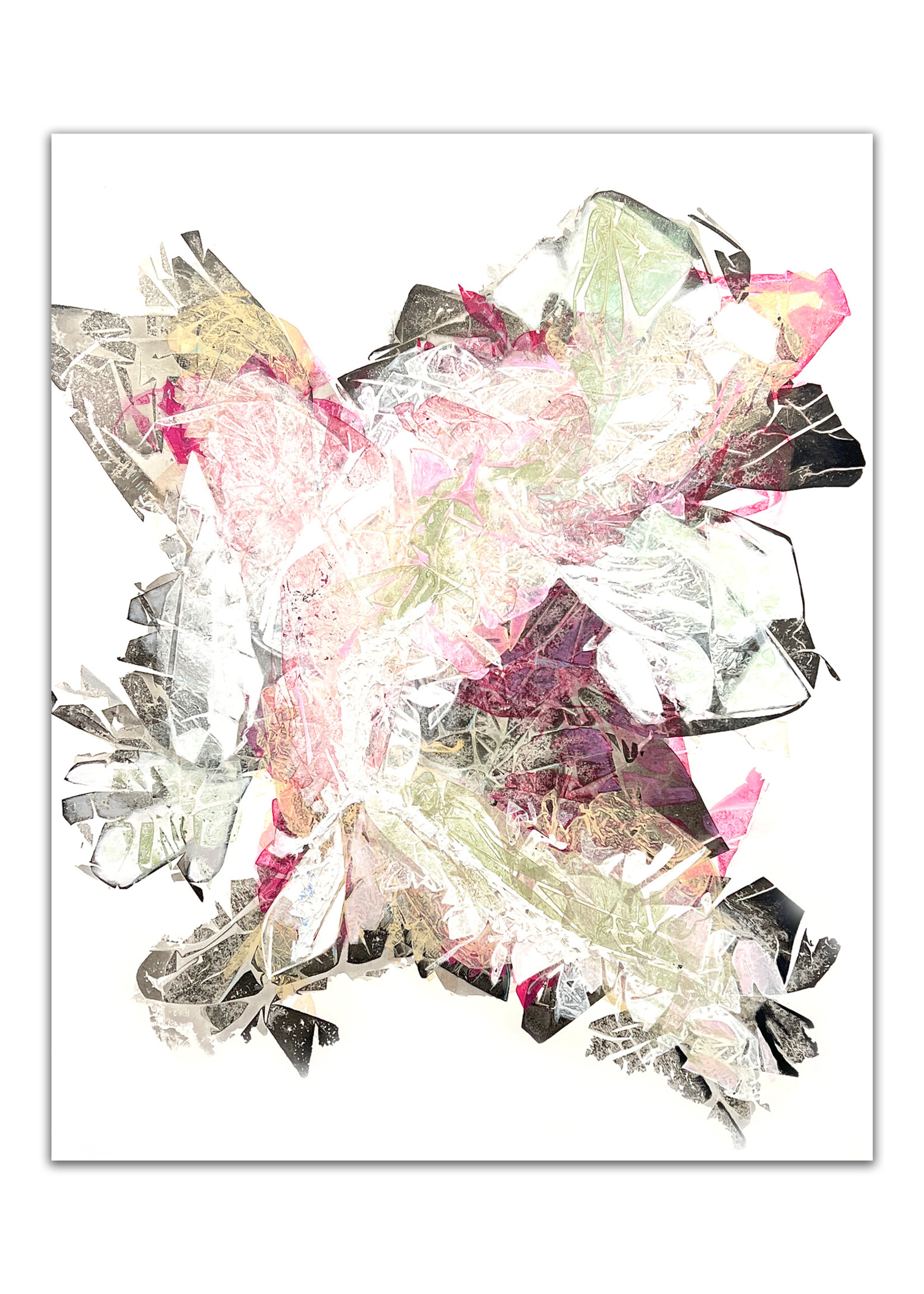 Star Mortezavi Wings Of Spring