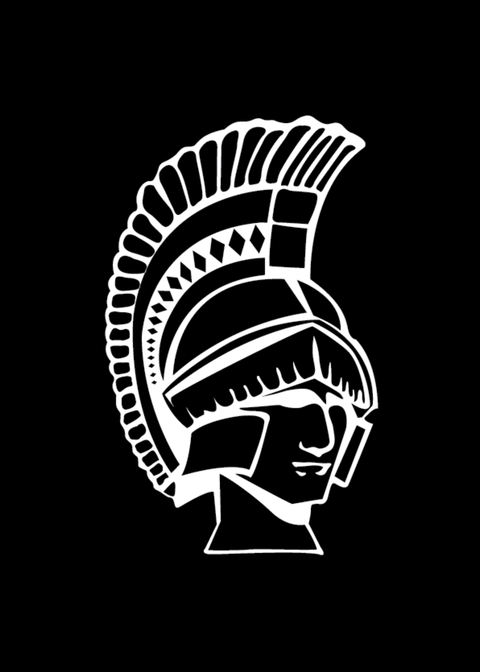 Boardman High School Suit Logo