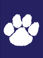 Twinsburg High School Suit Logo