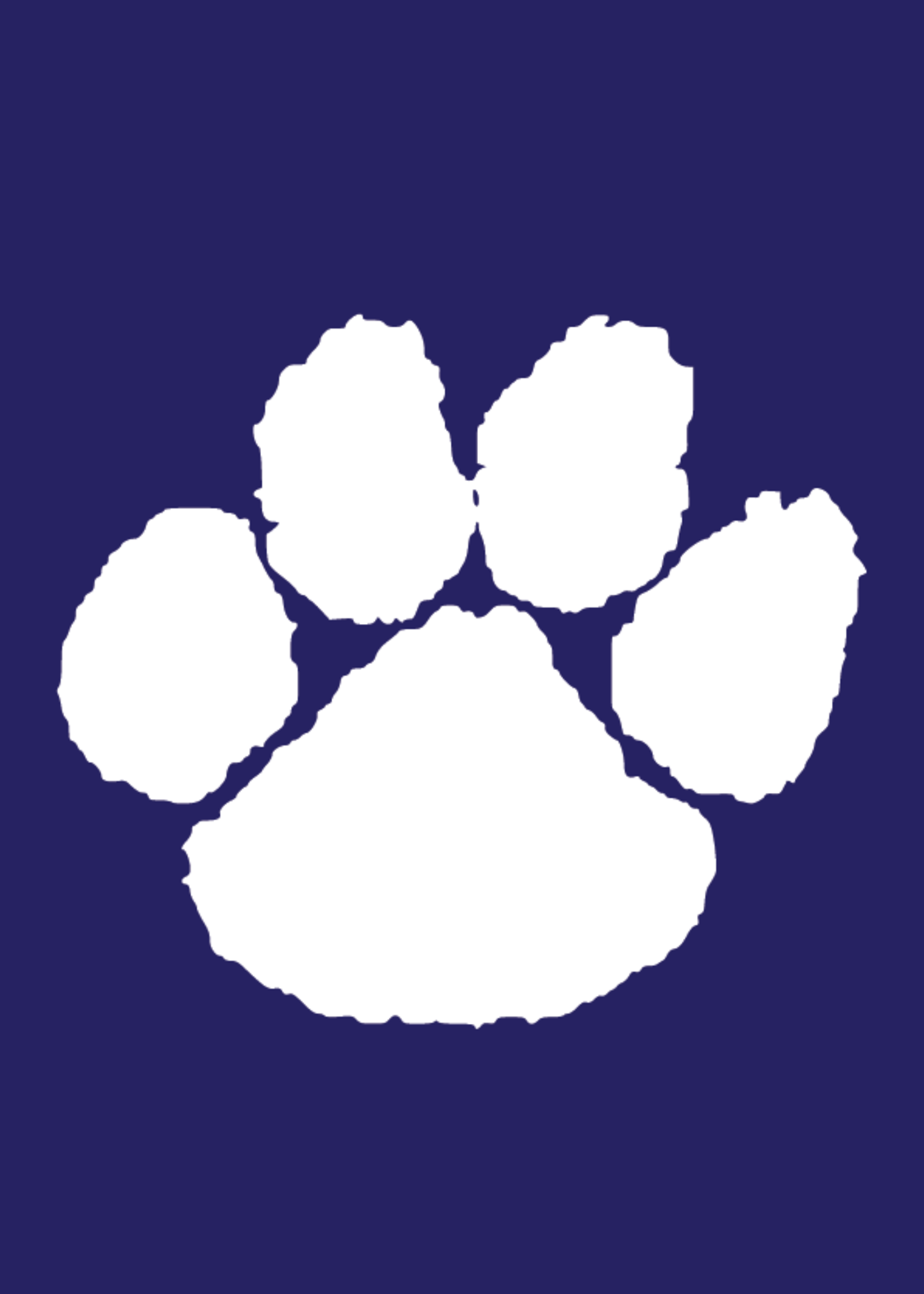 Twinsburg High School Suit Logo